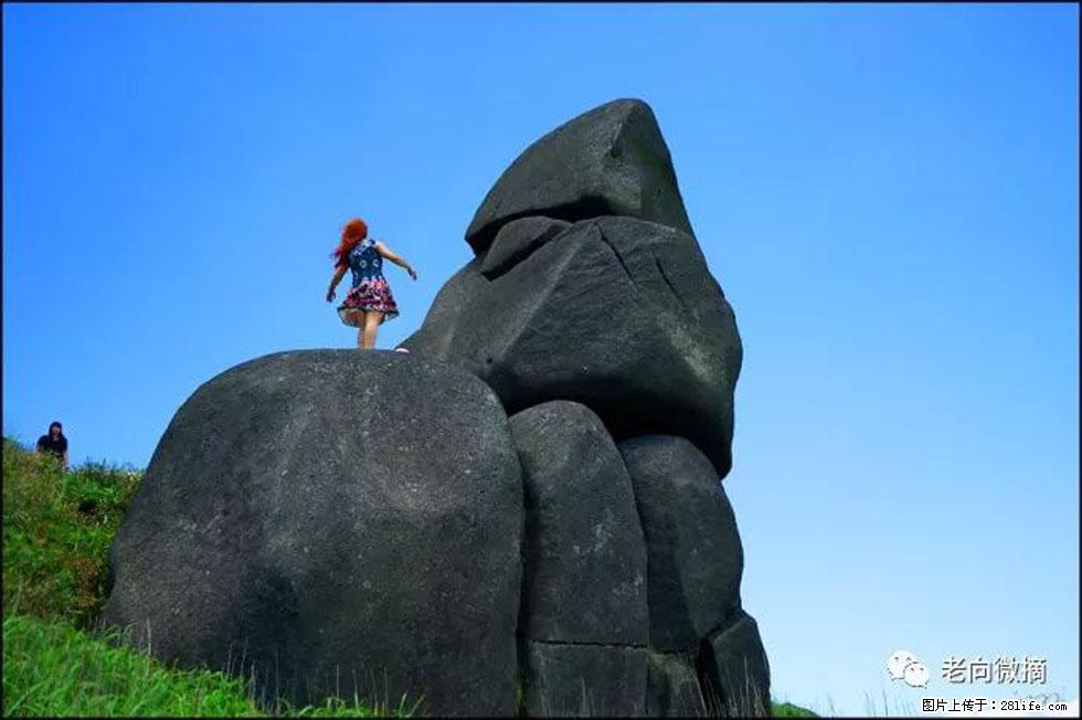 【春天，广西桂林灌阳县向您发出邀请！】宝盖山上映山红 - 游山玩水 - 福州生活社区 - 福州28生活网 fz.28life.com