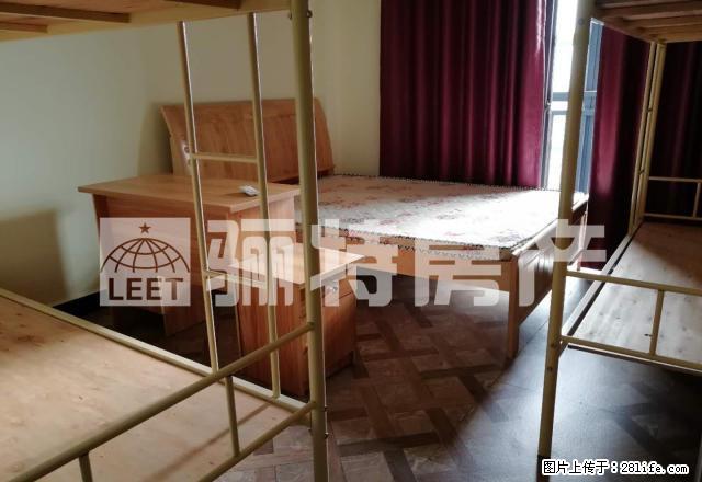 易安居 精装修 单身公寓 交通便利 拎包入住 配套齐全 - 房屋出租 - 房屋租售 - 福州分类信息 - 福州28生活网 fz.28life.com