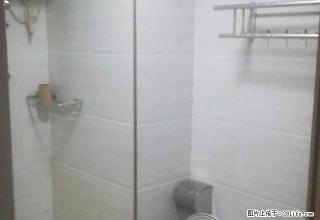 急租 能定的来 万科上海新苑 电梯高层 套房不是隔断 手慢 - 福州28生活网 fz.28life.com