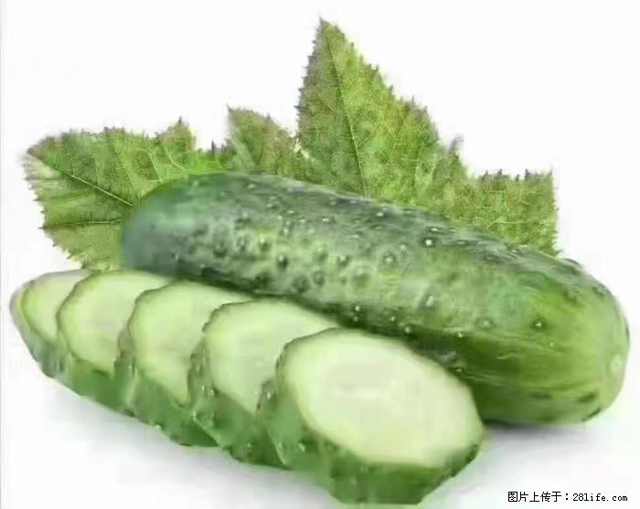 【生活小常识】吃黄瓜的好处 - 生活百科 - 福州生活社区 - 福州28生活网 fz.28life.com