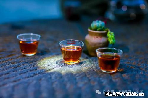 时间果百年古树2025年春红茶 - 购物交流 - 福州生活社区 - 福州28生活网 fz.28life.com