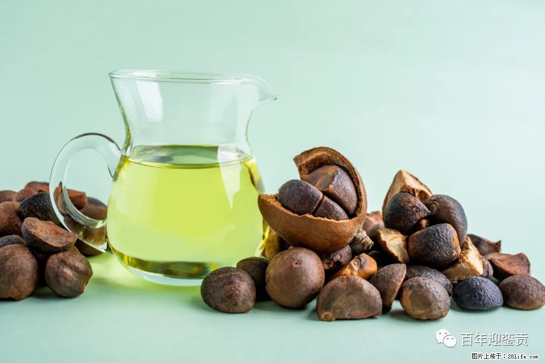 世界没有真相，只有认知，最好的食用油是中国的山茶油！ - 福州生活资讯 - 福州28生活网 fz.28life.com