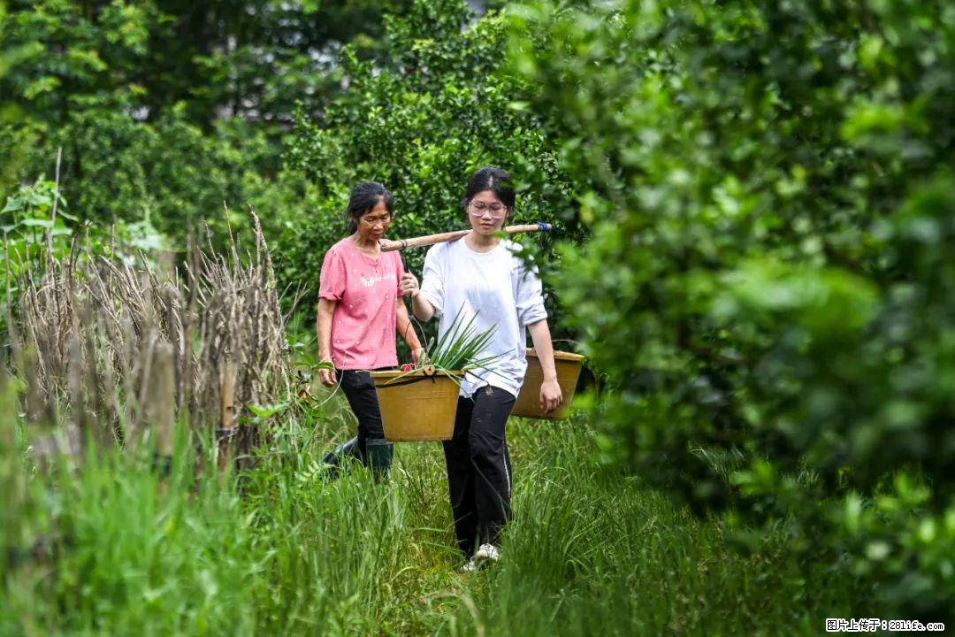 全网追的“扁担女孩”，找了一份暑假工，时薪12元 - 福州生活资讯 - 福州28生活网 fz.28life.com