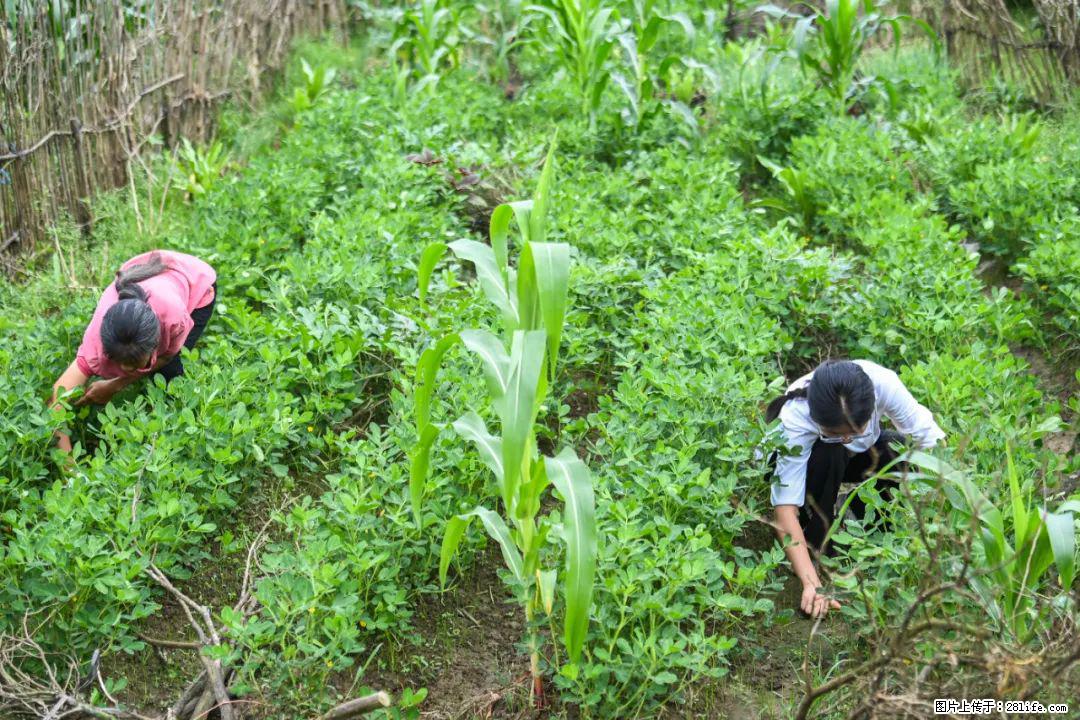 全网追的“扁担女孩”，找了一份暑假工，时薪12元 - 福州生活资讯 - 福州28生活网 fz.28life.com