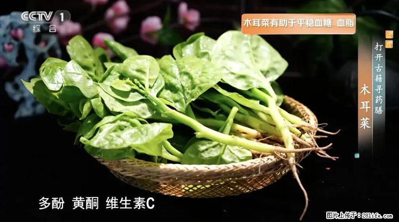 比牛奶补钙还厉害！凉血解毒、稳血糖...这菜冬天必吃，很多人却当草 - 福州生活资讯 - 福州28生活网 fz.28life.com