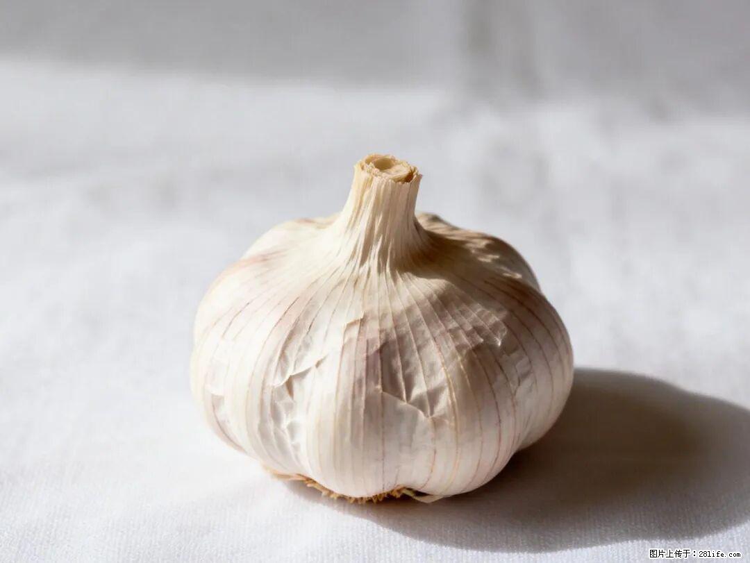 关于大蒜，除了“天然抗生素”，这4个谣言更该警惕! - 福州生活资讯 - 福州28生活网 fz.28life.com
