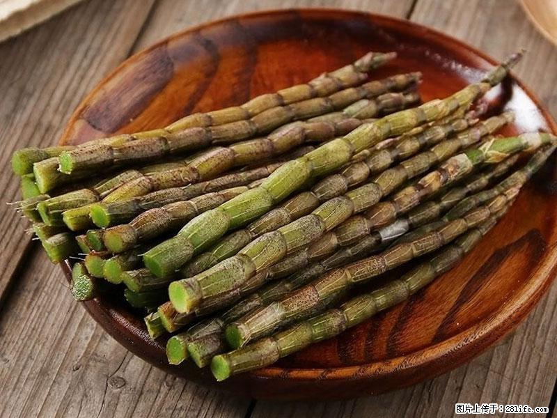 铁皮石斛的作用与功能主治 - 福州生活资讯 - 福州28生活网 fz.28life.com