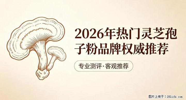 灵芝孢子粉含量越高越有效？2026 年七款热门品牌深度实测，肠胃敏感者避坑指南 - 福州生活资讯 - 福州28生活网 fz.28life.com